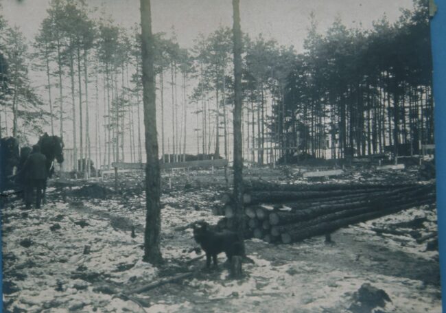 Bau wird abgesteckt 1908