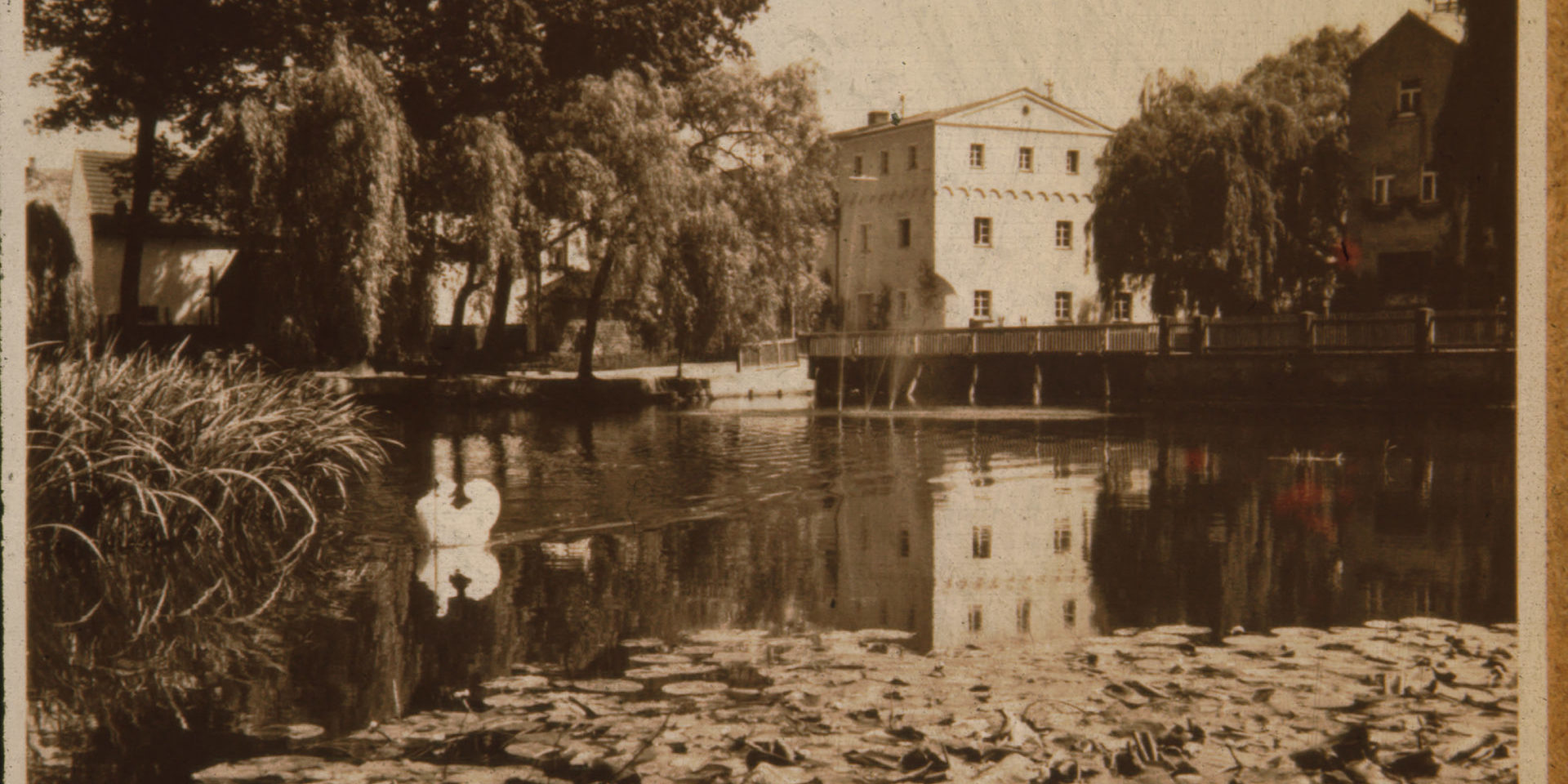 Stadtweiher mit Schwan