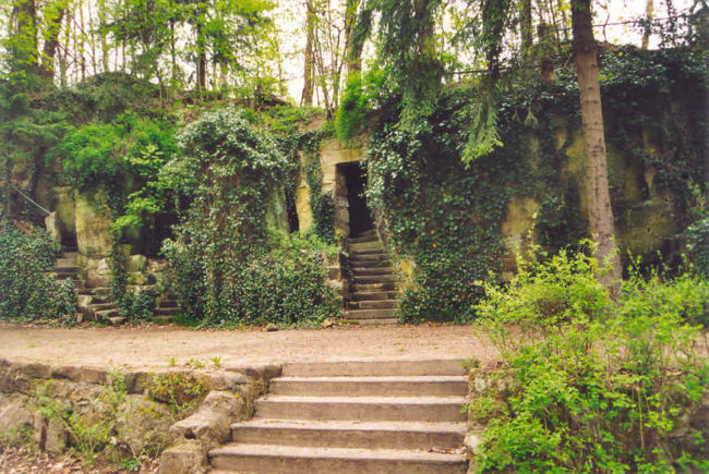 Schönberg mit Efeu eingewachsen